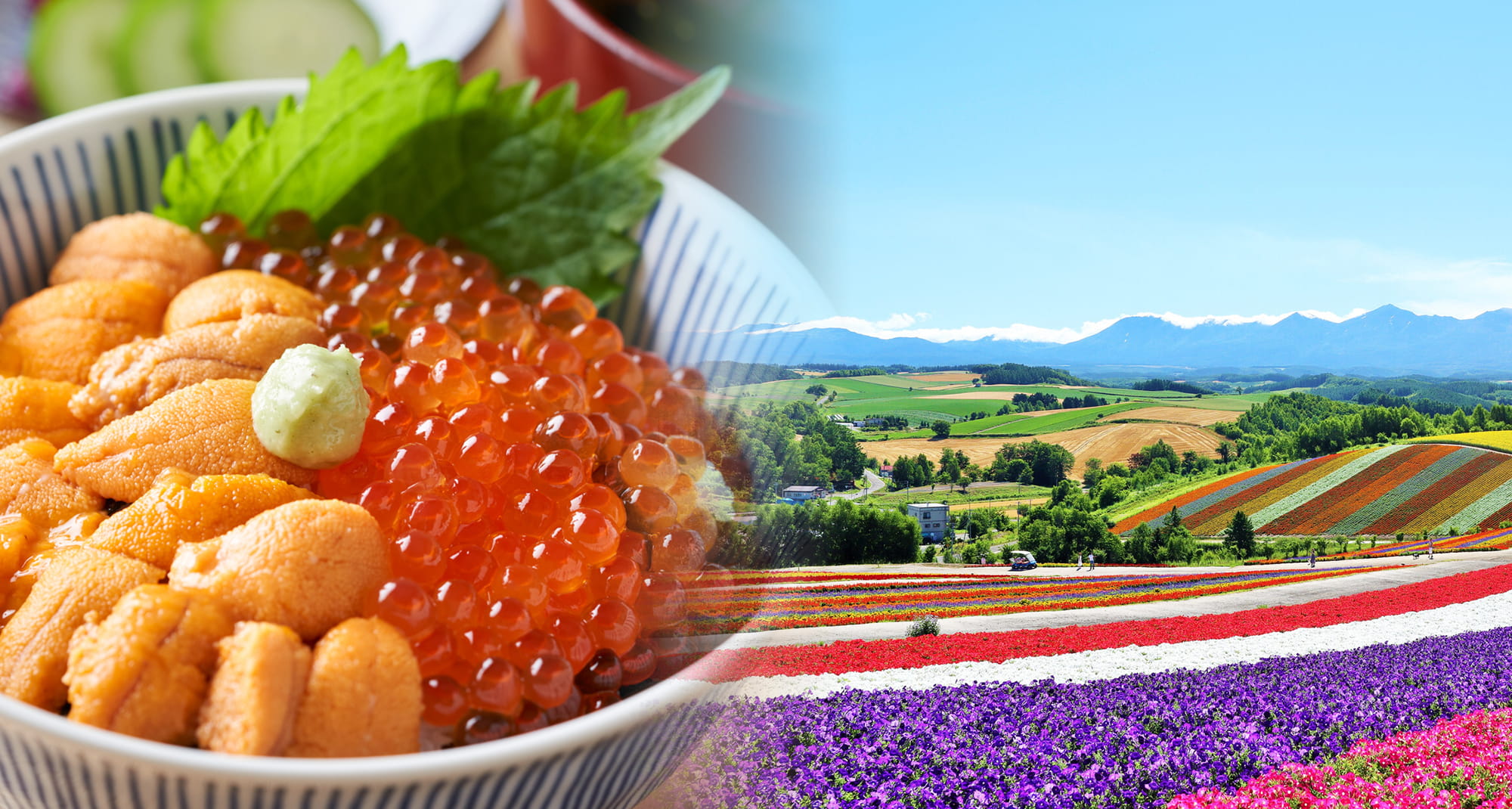 SCSK北海道の食と観光